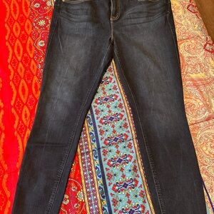 Torrid Blue Skinny Jeans Classic Style